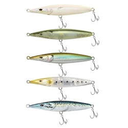 Xorus Asturie 130
